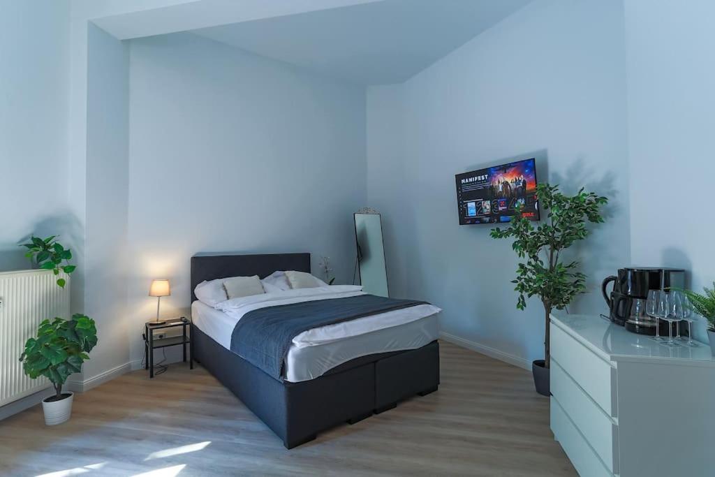 Apartment Cozy-livings Altbau Mit Terrasse Und Kueche Am Stadtpark *